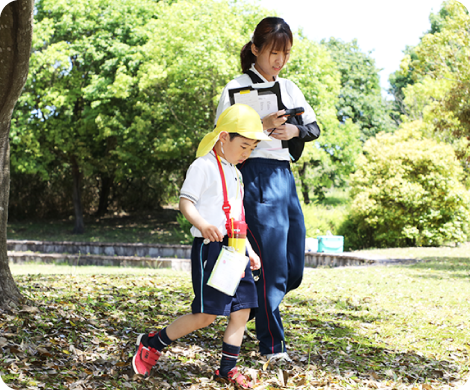 保育教諭募集中の写真